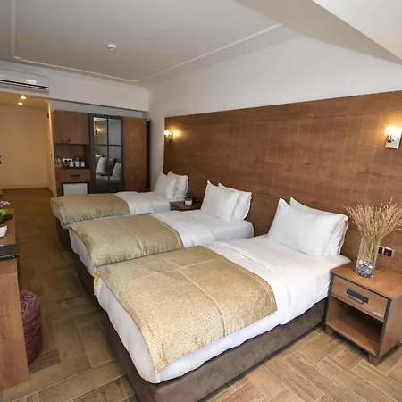 Otel Aurasia