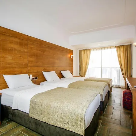 Hotel Aurasia 3*